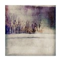Trademark Fine Art Christine O�Brien 'Winter Trees Under Purple Sky' Canvas Art, 24x24 ALI41557-C2424GG